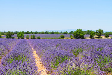 Similar image 10931105