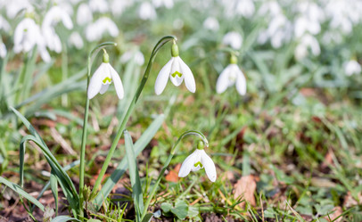 Similar image 10926731