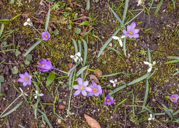 Similar image 10926734