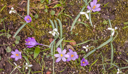 Similar image 10926735