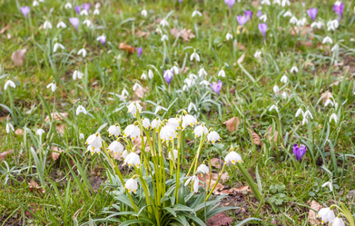 Similar image 10926737