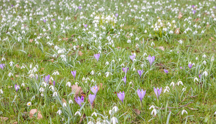 Similar image 10926738