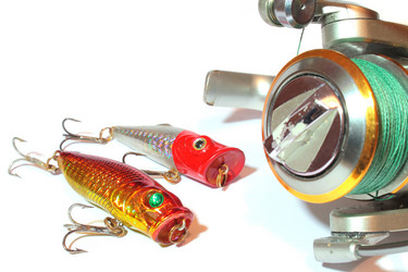 Similar image 10926520