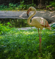 Similar image 10926401