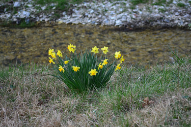 Similar image 10926501