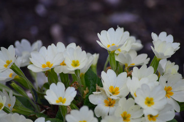 Similar image 10926502