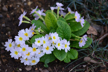 Similar image 10926503