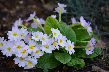 Similar image 10926504