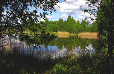 Similar image 10926415