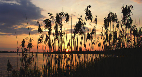 Similar image 10926416