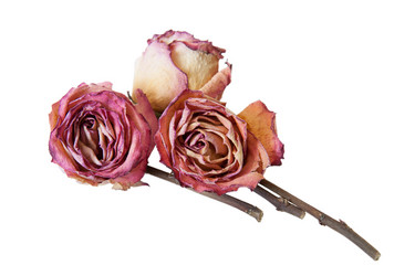 Similar image 10926525