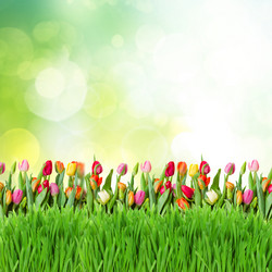 Similar image 10931147