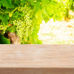 Similar image 10931150