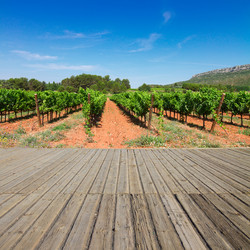 Similar image 10931151