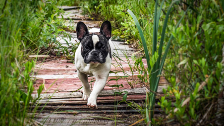 Similar image 10926526