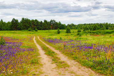 Similar image 10926606