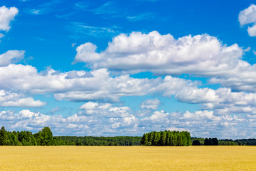 Similar image 10926607