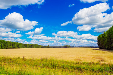 Similar image 10926614