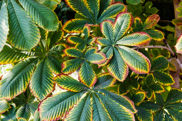 Similar image 10926620