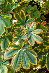 Similar image 10926621