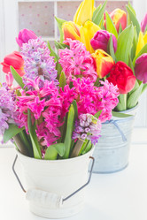 Similar image 10931112