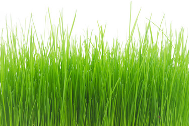 Similar image 10931128