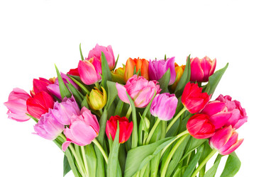 Similar image 10931132