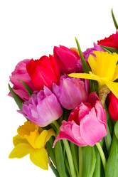 Similar image 10931135