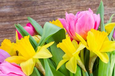 Similar image 10931139