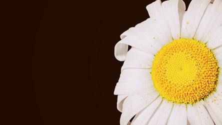 Similar image 10943509