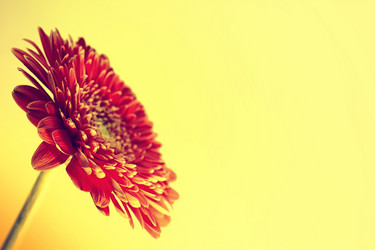 Similar image 10943543