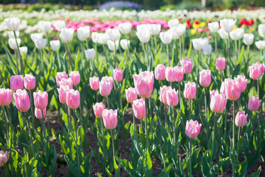 Similar image 10943546