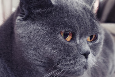 Similar image 10943558