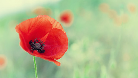 Similar image 10943559