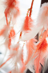 Similar image 10943560