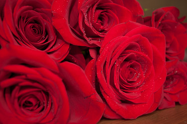 Similar image 10931292