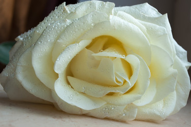 Similar image 10931315