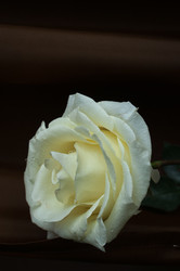 Similar image 10931316