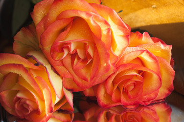 Similar image 10931318