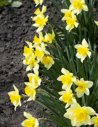 Similar image 10926770