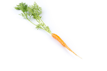 Similar image 10930731