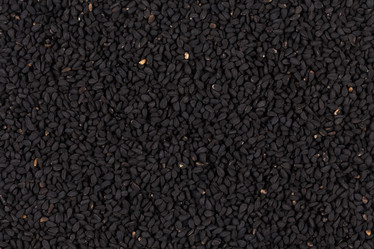 Similar image 10930751