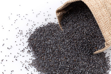 Similar image 10930949