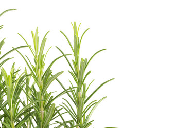 Similar image 10930793