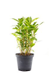 Similar image 10930798