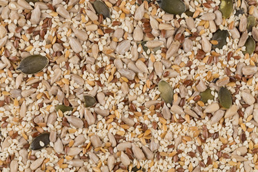 Similar image 10929882