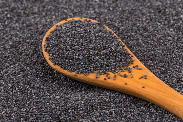 Similar image 10930736