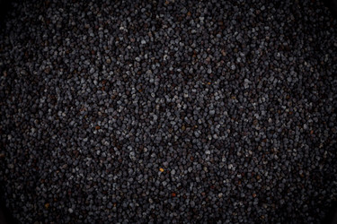 Similar image 10930739