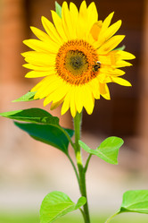 Similar image 10938833