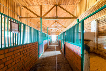 Similar image 10938863